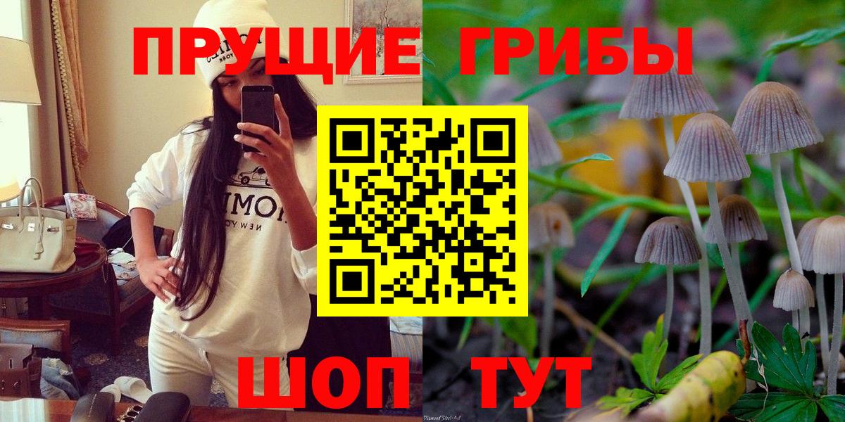 Галлюциногенные грибы Psilocybine cubensis  Вход с VPN  Торжок 